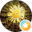 CARMEN AZNAR Avatar